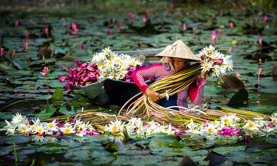 Hình ảnh lịch sử vùng đất Nam Bộ