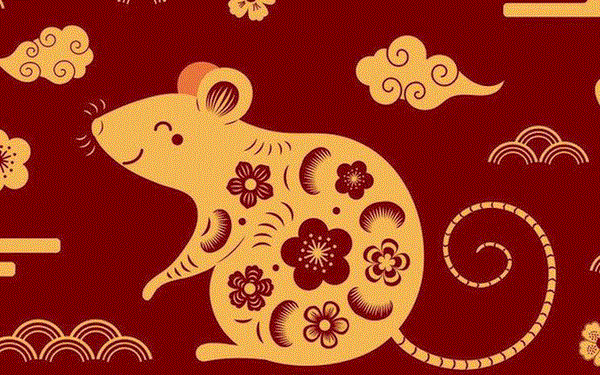 Chuột chiến thắng cuộc thi